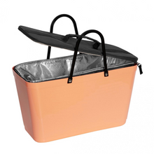Load image into Gallery viewer, Large Hinza Bag Cooler Insert