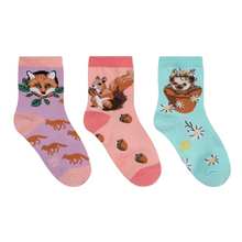 Load image into Gallery viewer, My Dear Hedgehog - Kids Crew Socks 3pk - Sock It To Me