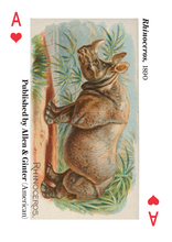 Load image into Gallery viewer, Metropolitan Museum Of Art - Playing Cards (Animals)