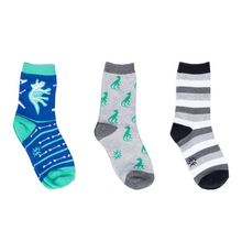 Load image into Gallery viewer, Arch-eology Kids Glow In The Dark Crew Socks Pack of 3 - Sock It To Me