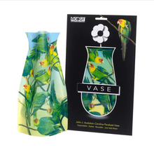 Load image into Gallery viewer, John J. Audubon Carolina Parakeets - Modgy Expandable Vase
