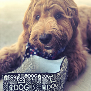 Doggy Dog - Modgy Portable Dog Bowl