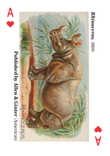 Load image into Gallery viewer, Animals - Metropolitan Museum Of Art Playing Cards
