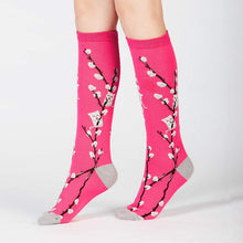 Load image into Gallery viewer, Kitty Willows - Youth Knee High Socks Age 3-6 - Sock It To Me

