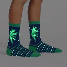 Load image into Gallery viewer, Arch-eology Kids Glow In The Dark Crew Socks Pack of 3 - Sock It To Me
