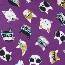 Load image into Gallery viewer, Smarty Cats - Large Women&#39;s Hipster Knickers - Sock It To Me
